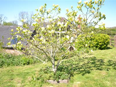 Picture 21